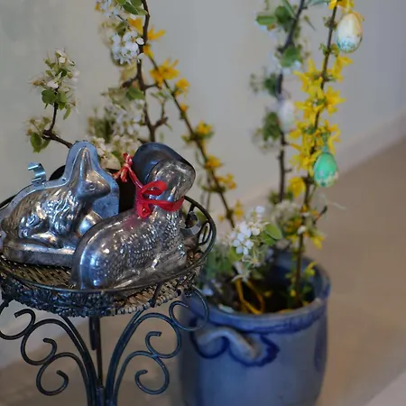 Tatil Evi Renove Pour 4 Pers Avec Terrasse A - Fr-1-744-14 Hunawihr